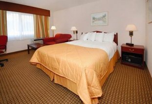 Clarion Hotel - Business travelers will greatly appreciate modern conveniences like telephones with voice mail in every room and access to copy and fax services.