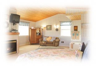 Double Bluff Cottage - Sunny cottage suite with queen bed, 2-person jacuzzi, fireplace, private bath and more!
