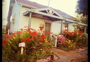 Hidden Fremont Getaway - 3 bedroom home with fabulous outdoor space - BBQ, 3-tiered deck and hot tub.  Very private within easy walking distance of the best Fremont has to offer. ...