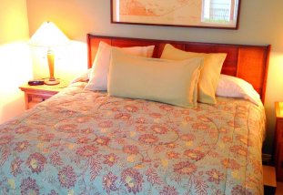 The Guest Room: Lake Union - Fun accommodations right across the street from Lake Union and Seattle houseboats.  Private entrance, private patio, living room with fireplace, king sized bed, large TV, private bath.