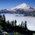 Mt. Baker - 