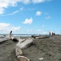Southwest Coast - 